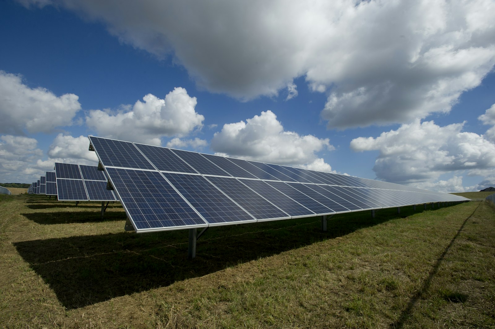 ENASYN solar farm with adaptive tracking and AI orchestration